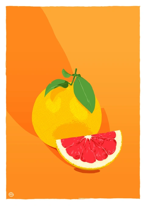 Pamplemousse — illustration d’Alexandre Hostein